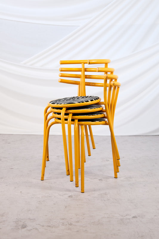 Yellow Vintage Zebra Chairs