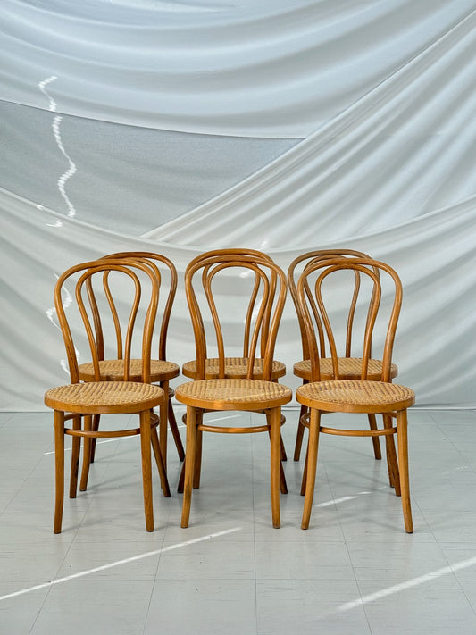 ZPM ラドムスコ曲げ木椅子(籐製シート付き)