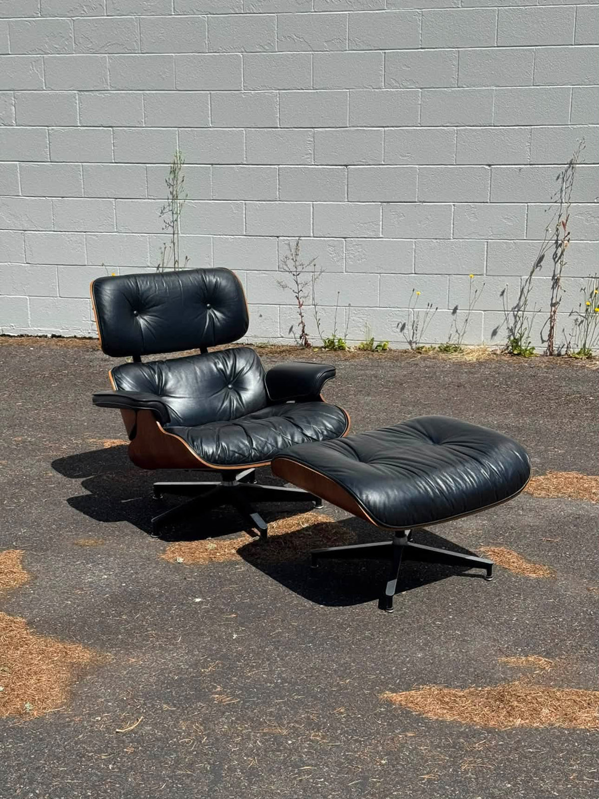 The Eames Lounge Chair: A Design Icon That Never Goes Out of Style