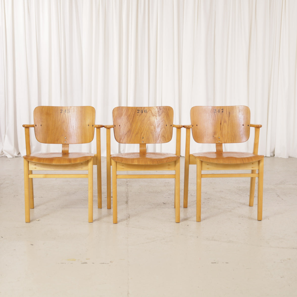 1950s Domus Chair with Oak Veneer by Ilmari Tapiovaara, three Domus chairs, rear group view