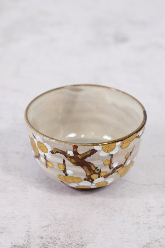 Gyokuhō Kiln – Chawan with White Plum Grove Design (with Tomobako)
