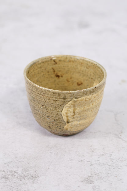 Kutani-yaki Chawan by Nitta Kunihiko, Tokuyama Kiln (with Tomobako)