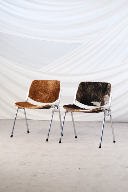 DSC 106 Chairs by Giancarlo Piretti for Castelli