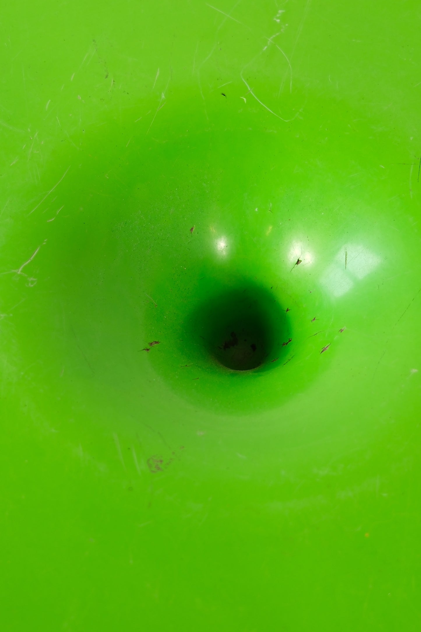 Eero Aarnio “Kanttarelli” Table, 1960s Rare Green Edition