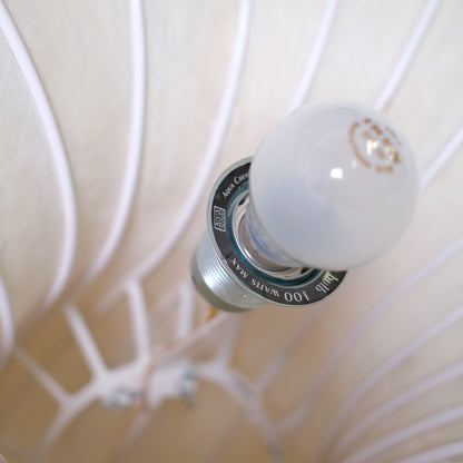 Aqua Creations Morning Glory Floor Lamp