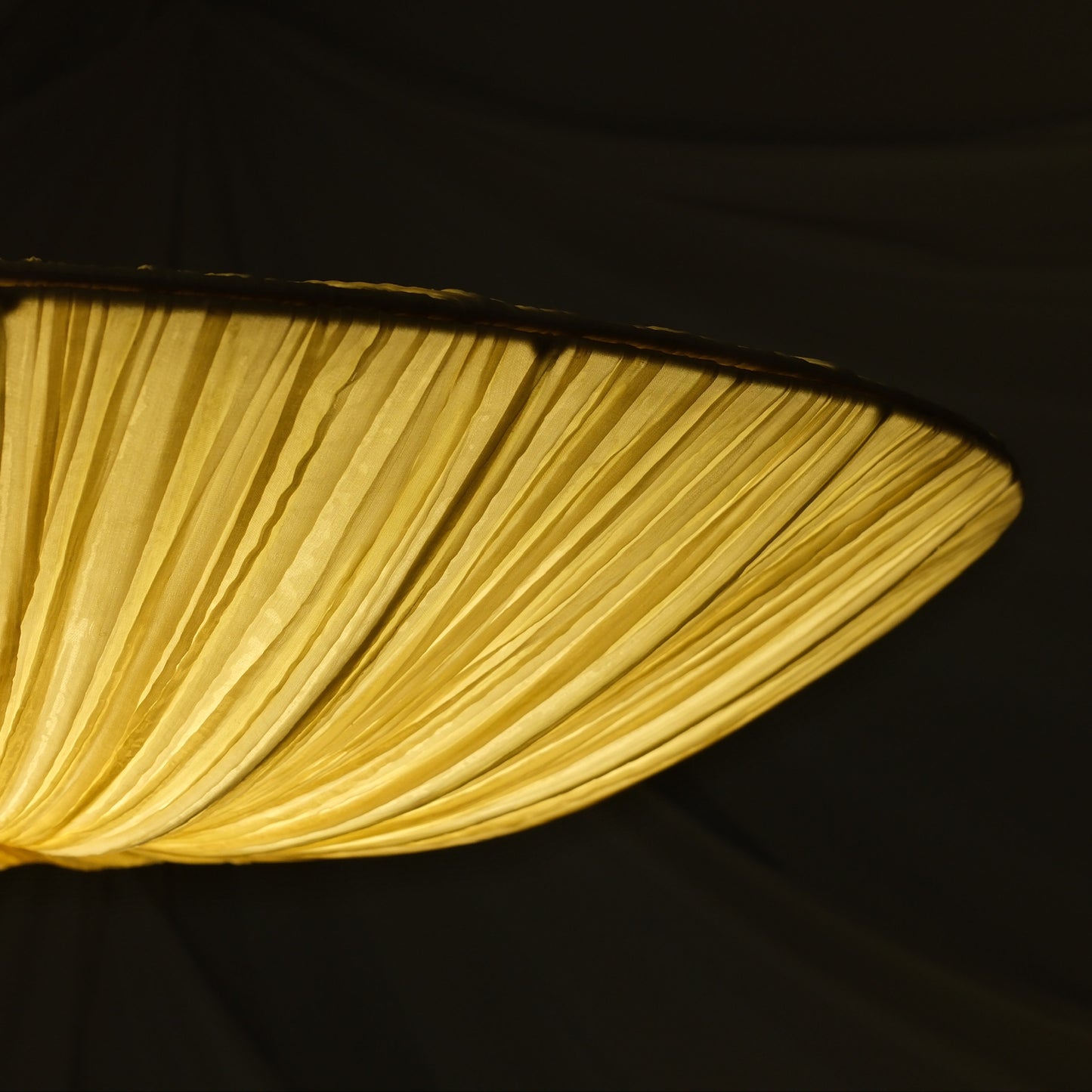 Aqua Creations Stand By Pendant Light 76 cm