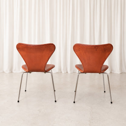 Fritz Hansen Series 7 Chair in Cognac Leather