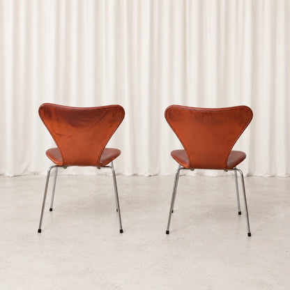 Fritz Hansen Series 7 Chair in Cognac Leather